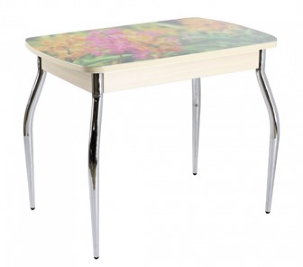 Кухонный стол раскладной ПГ мини СТФ, дуб молочный лдсп/луговые цветы/35 хром гнутые в Вологде