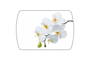 Обеденный раздвижной стол Танго, белый/орхидея в Вологде - предосмотр 3
