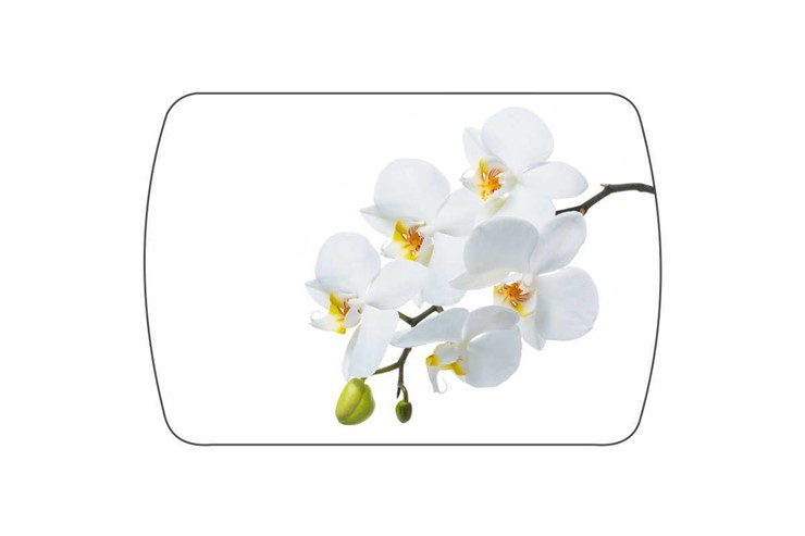 Обеденный раздвижной стол Танго, белый/орхидея в Вологде - изображение 3