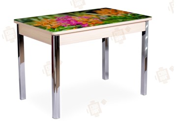 Кухонный раздвижной стол Айсберг-02 СТФ, Дуб ЛДСП/полевые цветы/ноги хром квадратные в Вологде