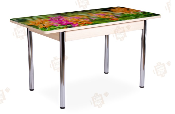 Кухонный раскладной стол Айсберг-02 СТФ, Дуб ЛДСП/полевые цветы/ноги хром прямые в Вологде - изображение 2