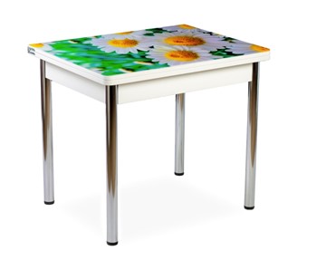 Кухонный пристенный стол СПА-01 СТФ, белый/фотопечать ромашки/опоры прямые хром в Вологде - предосмотр