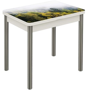Кухонный стол раздвижной Бари дерево №8 (Exclusive h175/белый) в Вологде - предосмотр