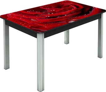 Кухонный стол раскладной Гамбург исп. Мини, ноги метал. крашеные №23, Фотопечать (Цветы №39) в Вологде - предосмотр