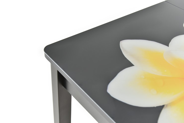 Кухонный стол раздвижной Гамбург исп. Мини, ноги метал. крашеные №23, Фотопечать (Фрукты №32) в Вологде - изображение 9