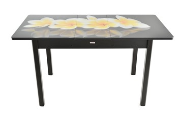 Кухонный стол раскладной Гамбург исп.1 ноги метал. крашеные №23, Фотопечать (Цветы №15) в Вологде - предосмотр 7