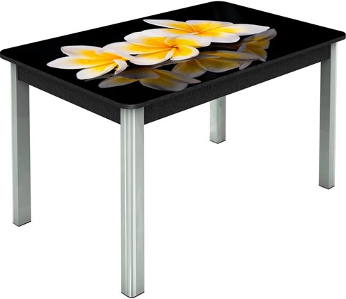 Кухонный раздвижной стол Гамбург исп.2 ноги метал. крашеные №23, Фотопечать (Цветы №11) в Вологде - изображение