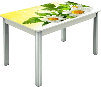 Обеденный раздвижной стол Гамбург исп.2 ноги метал. крашеные №23, Фотопечать (Цветы №3) в Вологде