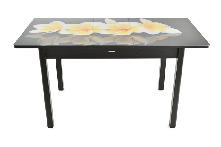Кухонный раскладной стол Гамбург исп.2 ноги метал. крашеные №23, Фотопечать (Цветы №49) в Вологде - изображение 7