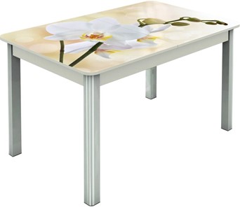 Кухонный раздвижной стол Гамбург исп.2 ноги метал. крашеные №23, Фотопечать (Цветы №5) в Вологде