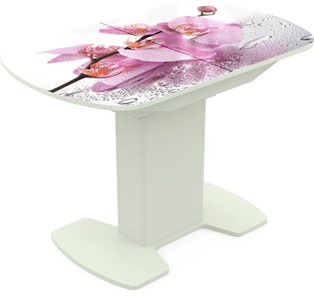 Кухонный стол раскладной Корсика исп. 2 Фотопечать (Цветы №55) 1200(1515)*800 в Вологде