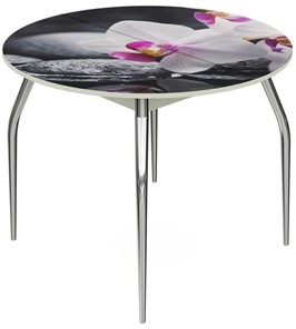 Кухонный раскладной стол Ривьера - Круг, ноги метал. крашеные №24, ФП (Цветы №19) в Вологде