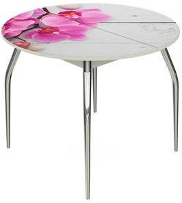 Кухонный раздвижной стол Ривьера - Круг, ноги метал. крашеные №24, ФП (Цветы №24) в Вологде