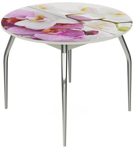 Кухонный раздвижной стол Ривьера - Круг, ноги метал. крашеные №24, ФП (Цветы №44) в Вологде