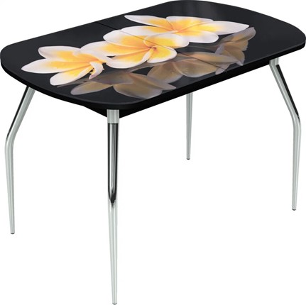 Кухонный стол раскладной Ривьера исп.1 ноги метал. крашеные №24 Фотопечать (Цветы №11) в Вологде - изображение