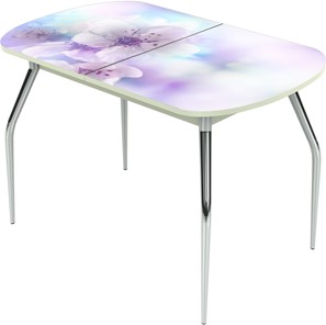 Обеденный раздвижной стол Ривьера исп.1 ноги метал. крашеные №24 Фотопечать (Цветы №40) в Вологде