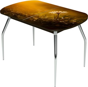 Кухонный стол раскладной Ривьера исп.1 ноги метал. крашеные №24 Фотопечать (Цветы №43) в Вологде