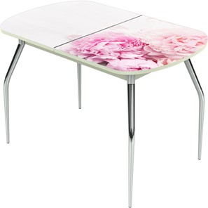Кухонный стол раскладной Ривьера исп.1 ноги метал. крашеные №24 Фотопечать (Цветы №49) в Вологде