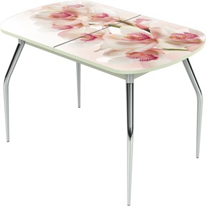 Кухонный стол раскладной Ривьера исп.1 ноги метал. крашеные №24 Фотопечать (Цветы №8) в Вологде