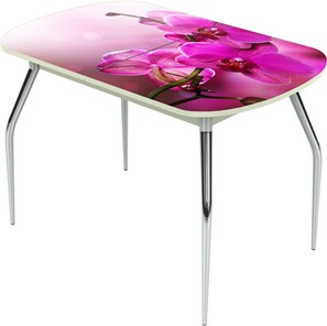 Кухонный стол раздвижной Ривьера исп.2 ноги метал. крашеные №24 Фотопечать (Цветы №16) в Вологде