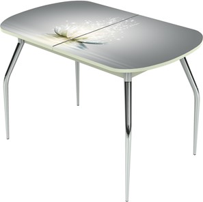 Обеденный раздвижной стол Ривьера исп.2 ноги метал. крашеные №24 Фотопечать (Цветы №29) в Вологде