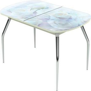 Обеденный раздвижной стол Ривьера исп.2 ноги метал. крашеные №24 Фотопечать (Цветы №36) в Вологде