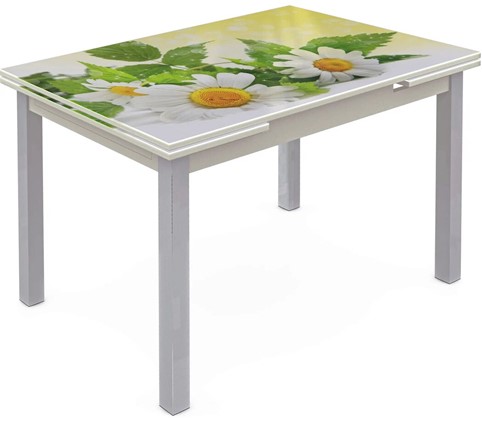 Кухонный стол раскладной Шанхай исп. 2, ноги метал. крашеные №21 Фотопечать (Цветы №3) в Вологде - изображение