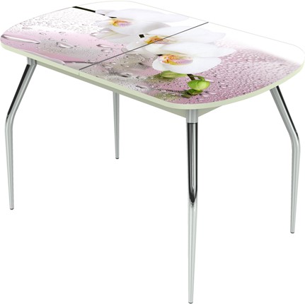 Кухонный раскладной стол Ривьера исп.1 ноги хром №5 Фотопечать (Цветы №20) в Вологде - изображение