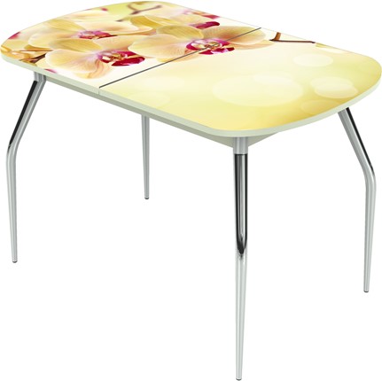 Кухонный раскладной стол Ривьера исп.1 ноги хром №5 Фотопечать (Цветы №4) в Вологде - изображение