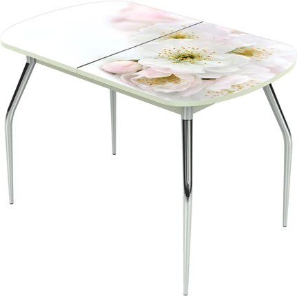 Кухонный стол раздвижной Ривьера исп.1 ноги хром №5 Фотопечать (Цветы №6) в Вологде - изображение