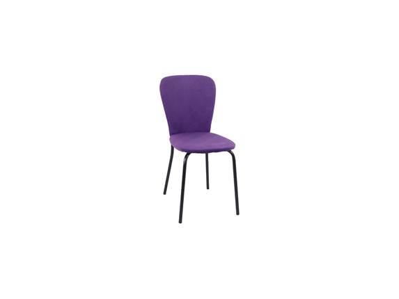 Кухонный стул Роджер Эконом С102-2(стандартная покраска) в Вологде - изображение