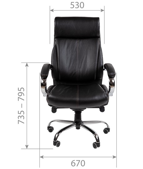 Офисное кресло CHAIRMAN 423 Натуральная кожа\Экокожа в Вологде - изображение 3
