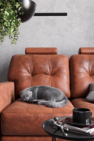 Прямой диван Клуни 1600 в Вологде - изображение 12