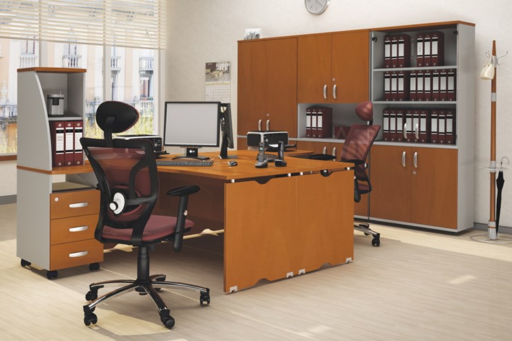 Офисный комплект мебели Милан для 2 сотрудников с тумбочками и большим шкафом в Вологде - изображение