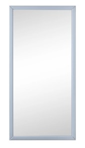 Зеркало навесное Ника (Серый) 119,5 см x 60 см в Вологде