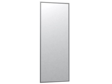 Зеркало навесное Сельетта-6 матовое серебро (1100х400х9) в Вологде - предосмотр