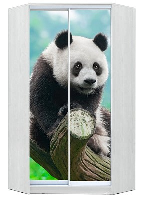 Шкаф угловой Хит-У-24-4-77-29, Панда, Белый в Вологде - изображение