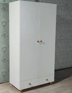 Детский шкаф распашной Нордик с 2 ящиками и перегородкой в Вологде - предосмотр