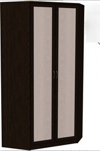 Распашной шкаф 403 несимметричный, цвет Венге в Вологде - предосмотр