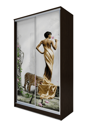 Шкаф-купе 2-х дверный 2200х1200х420, Девушка с леопардом ХИТ 22-4-12-77-03 Венге Аруба в Вологде - изображение