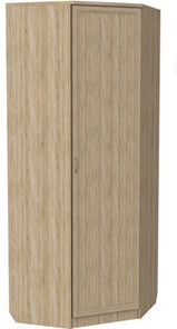 Распашной шкаф 400 угловой, цвет Дуб Сонома в Вологде - предосмотр