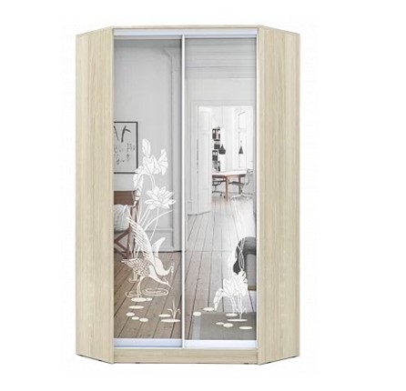 Шкаф 2400х1103, ХИТ У-24-4-66-01, цапля, 2 зеркалами, Дуб Сонома в Вологде - изображение