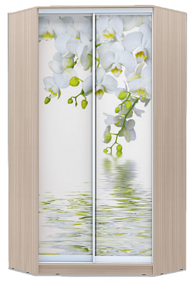 Шкаф угловой 2400х1103, ХИТ У-24-4-77-05, Белая орхидея, шимо светлый в Вологде - изображение