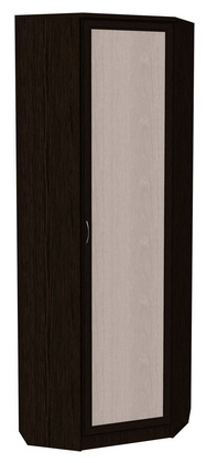 Распашной шкаф 402 угловой со штангой, цвет Венге в Вологде - изображение