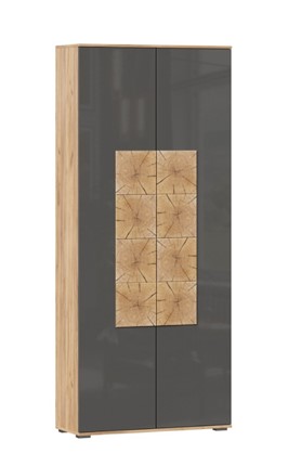 Шкаф двухстворчатый Фиджи с декоративными накладками 659.310, Дуб Золотой/Антрацит в Вологде - изображение
