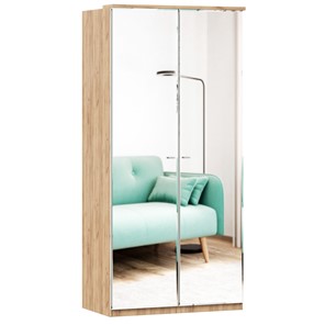 Шкаф двухстворчатый с 2-мя зеркалами Фиджи, 659.238, цвет белый в Вологде - предосмотр