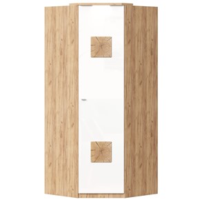 Шкаф угловой 45 с декоративной накладкой Фиджи, 659.248, белый в Вологде - предосмотр