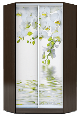 Угловой шкаф 2300х1103, ХИТ У-23-4-77-05, Белая орхидея, венге в Вологде - изображение
