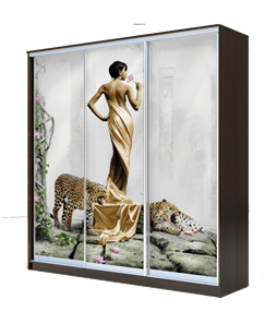 Шкаф 3-х створчатый 2400х2000х620, наполнение №2, Девушка с леопардом ХИТ 24-20-777-03 Венге Аруба в Вологде