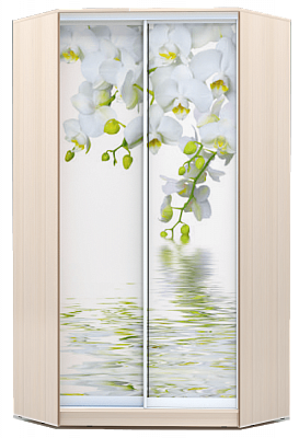 Угловой шкаф 2300х1103, ХИТ У-23-4-77-05, Белая орхидея, дуб млечный в Вологде - изображение